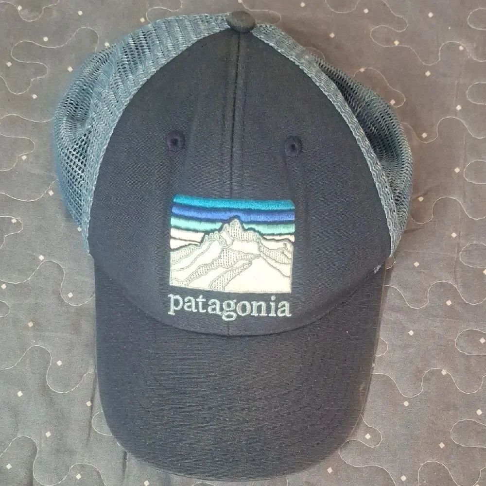 Patagonia Navy and Light Blue Cap